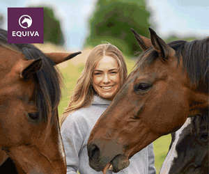 Reiter- und Pferdebedarf