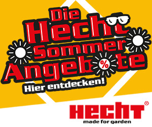 Jetzt entdecken