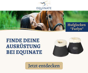 Reitsportartikel