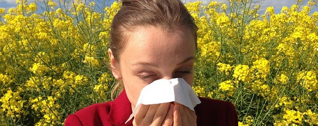 Allergie-Alarm vermeiden : Wege zum unempfindlichem Immunsystem