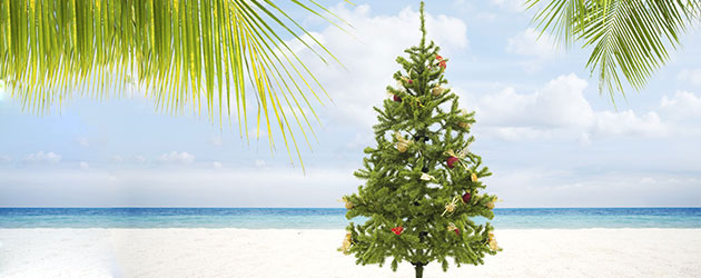 Sandra Duden aus dem BSW. Reisebüro gibt Reise-Tipps für Kurzentschlossene : Weihnachten mal anders Sandra Duden aus dem BSW. Reisebüro gibt Reise-Tipps für Kurzentschlossene : Weihnachten mal anders
