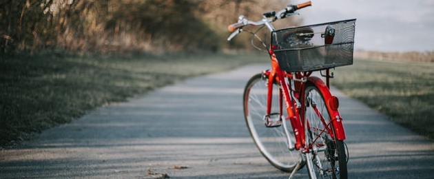 Der große Fahrrad-Check : Trends beim Fahrradkauf