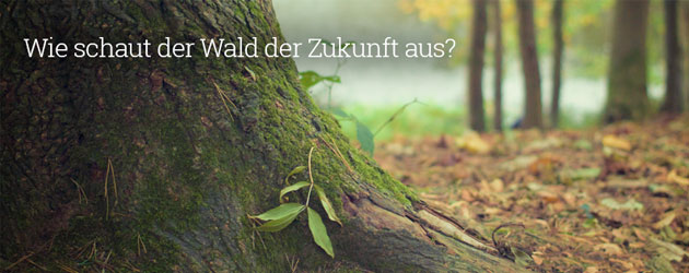 : Holzplantagen versus Wildnis : Holzplantagen versus Wildnis