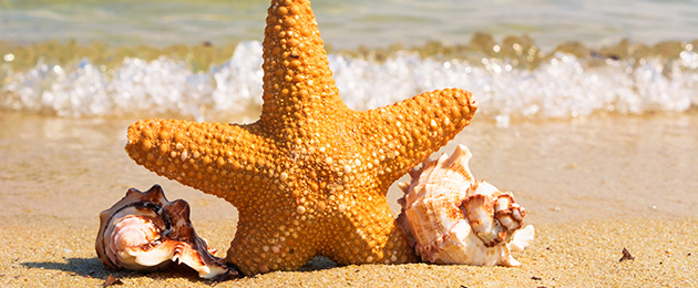 So kommen Sie gesund durch den Sommer : Tipps für heiße Tage