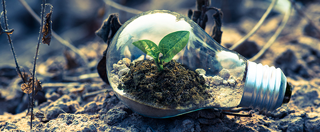 Heimischer Energieverbrauch : So schonen Sie Umwelt und Geldbeutel