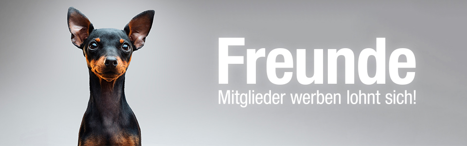 Freunde werben