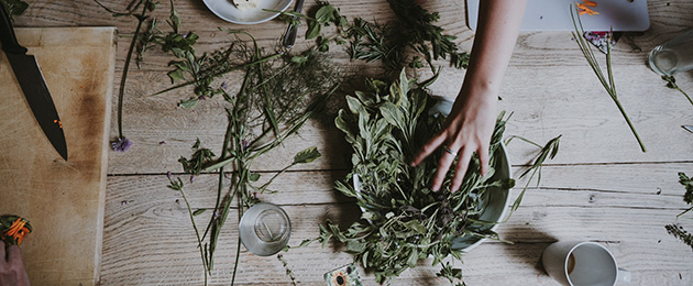 Natürlich gesund : Die Kraft der Natur